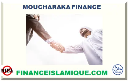MOUCHARAKA FINANCE 2025