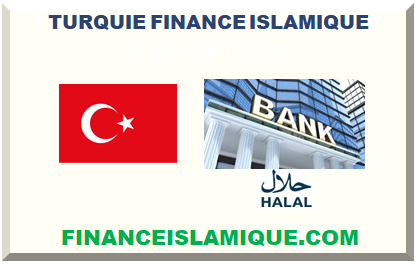 TURQUIE FINANCE ISLAMIQUE